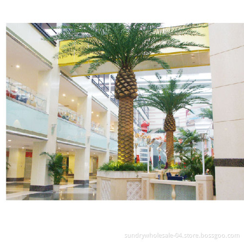 Date Palm Tree